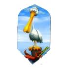 Amazon Slim Gull (nx488) - Click Image to Close